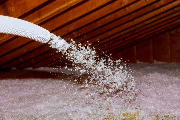Types of Insulation We Offer in Holtville, CA