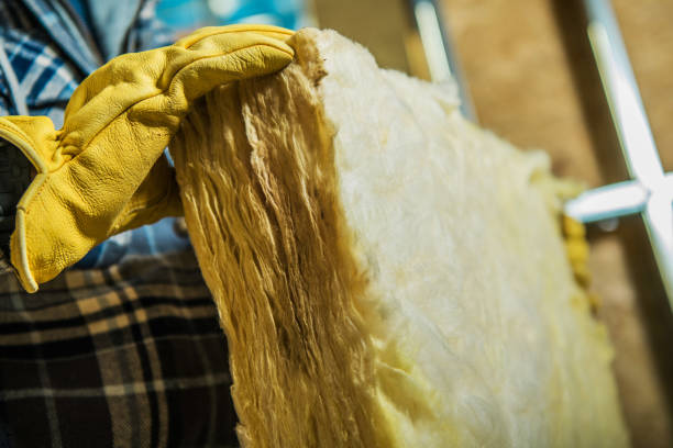 Best Eco-Friendly Insulation in Holtville, CA